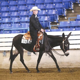 show record - High Point Farms Ida Claire