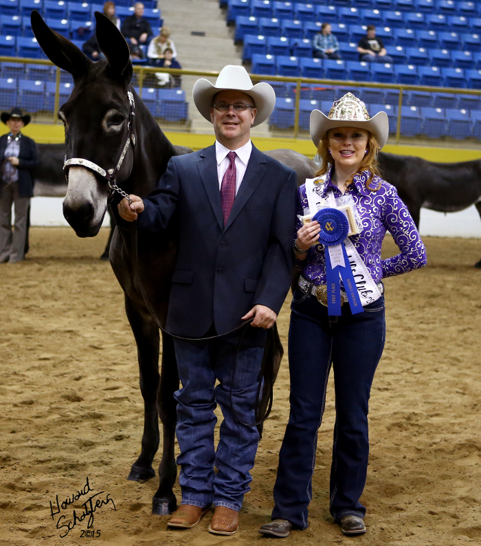 Ida Claire 1st Place Halter