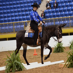 Blue Mountain Sierra