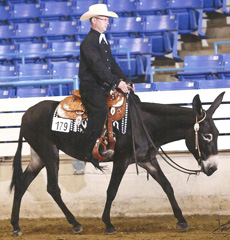 High Points Farm Ida Claire