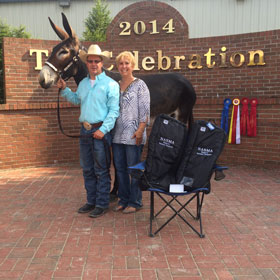 show record Mir and Jay