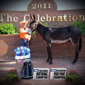 show record Shelbyville - Mo